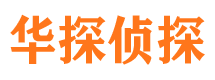 新田华探私家侦探公司